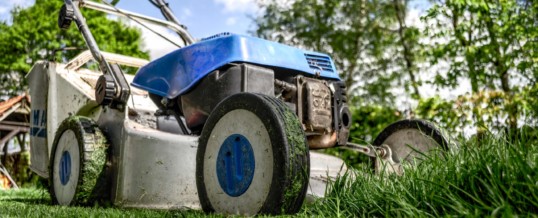 Did You Know That Mowing the Lawn Can Lead to a Cure for Cancer?